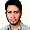 Parsa Alian